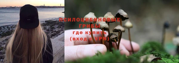 сатива Абаза