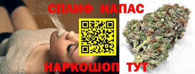 МДПВ Тавда