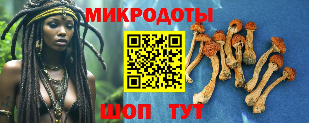 Богданович  наркотики  Вход с VPN  Галлюциногенные грибы мухоморы  Псилоцибиновые грибы MAGIC MUSHROOMS 