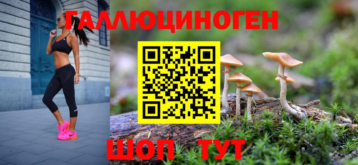 Галлюциногенные грибы прущие грибы Богданович